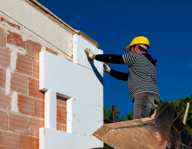 Best Cellulose Insulation in Cana, VA