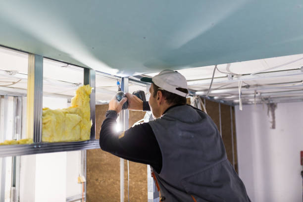 Best Cellulose Insulation in Cana, VA