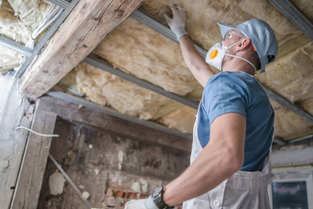Best Eco-Friendly Insulation in Cana, VA