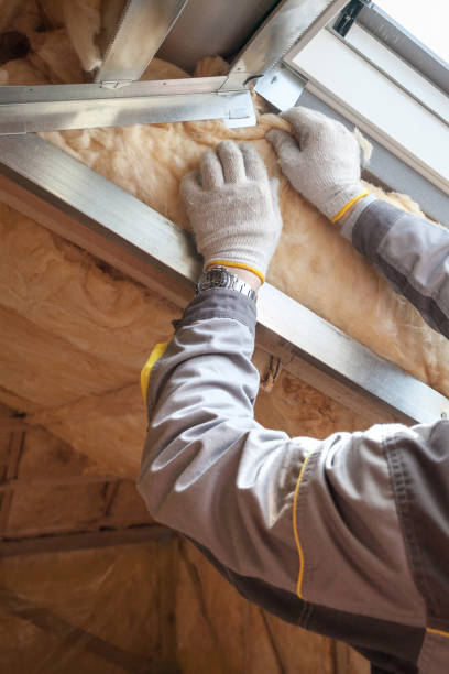 Best Insulation Maintenance and Repair in Cana, VA
