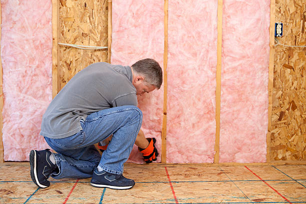 Best Blown-in Insulation in Cana, VA