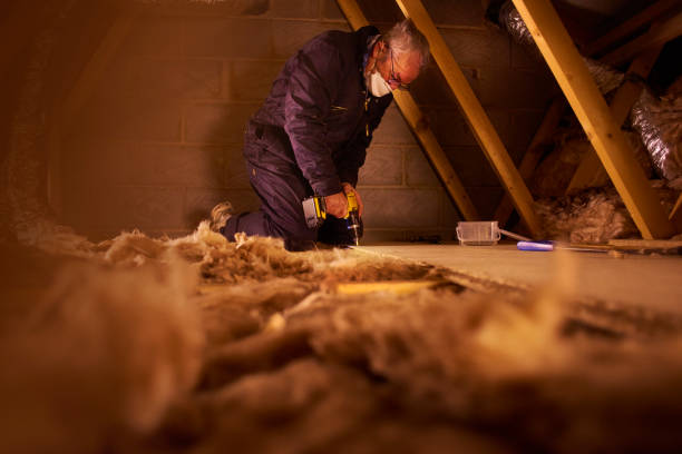 Best Geographic-Specific Insulation Services in Cana, VA
